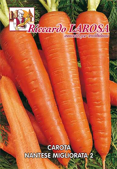carota nantese
