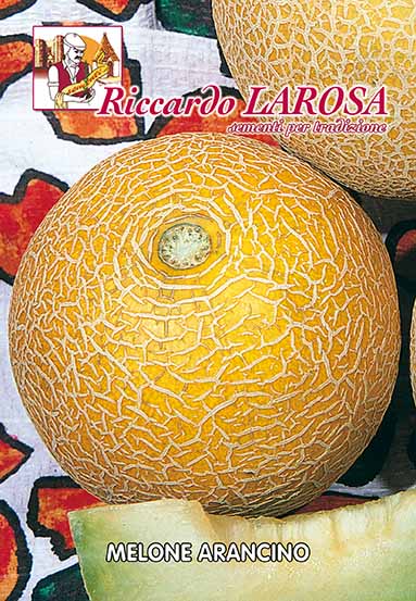 melone arancino
